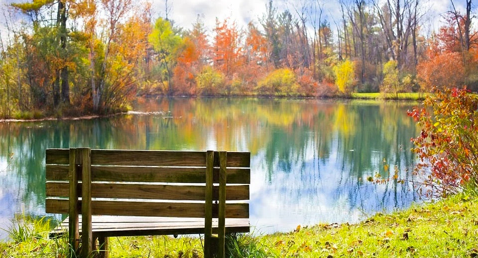 Image of a pond with great water quality.  It is surrounded by trees changing colors in the fall.  Pond aeration is the key to a healthy pond.