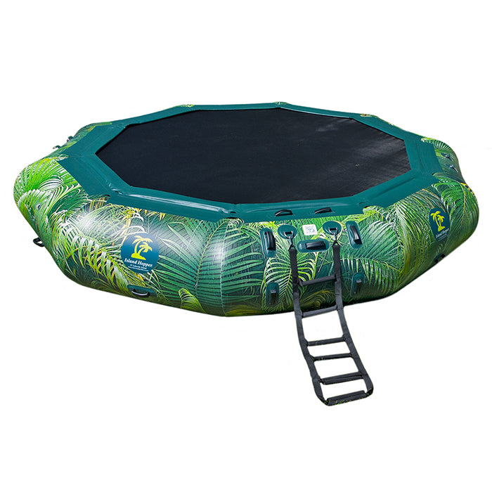 This is the Island Hopper 15ft Lakeside Series Water Bouncer solo with palm tree leaves as the design around it with the center forming a black decagon without the slide, only a black ladder on one side.