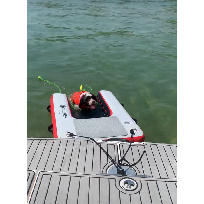 The red variation of the Inflatable Dog Water Ramp with a dog on it in the water.